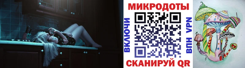 Псилоцибиновые грибы Psilocybe  Красный Холм 